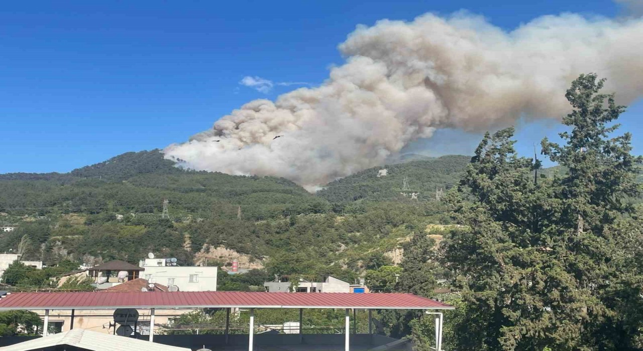 Hatayda orman yangını