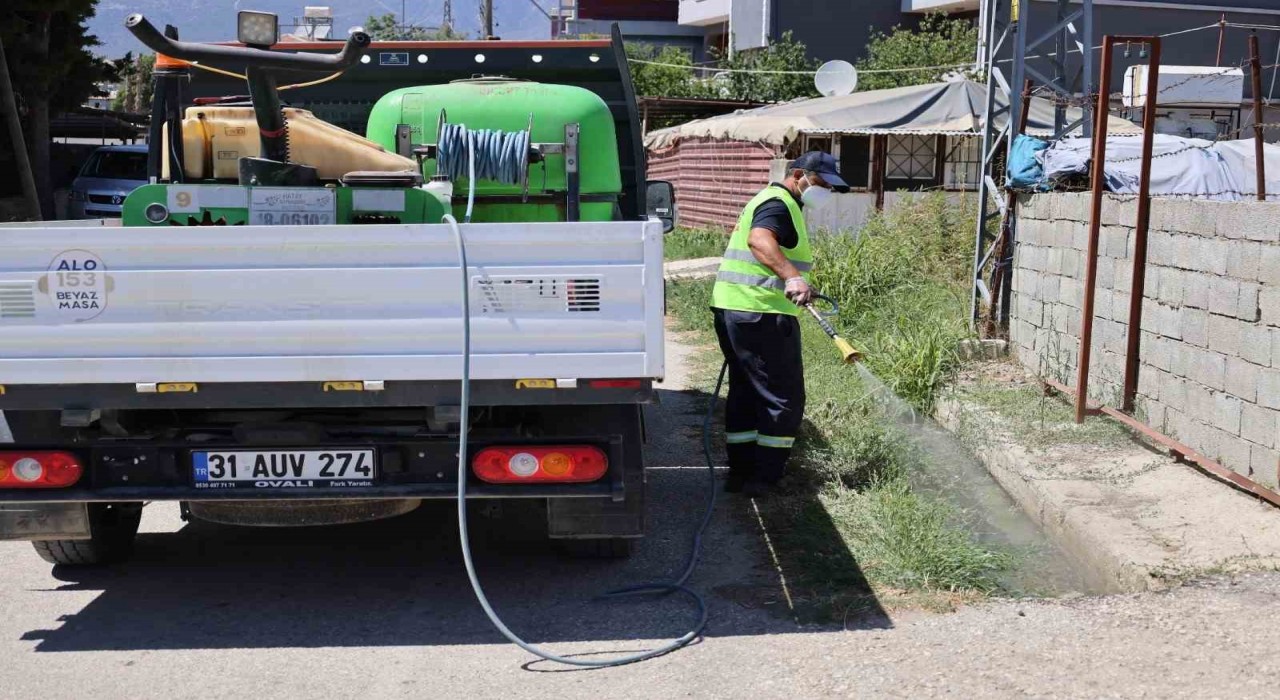 Hatayda sinek ve haşerelere karşı mücadele 7 gün, 24 saat devam ediyor