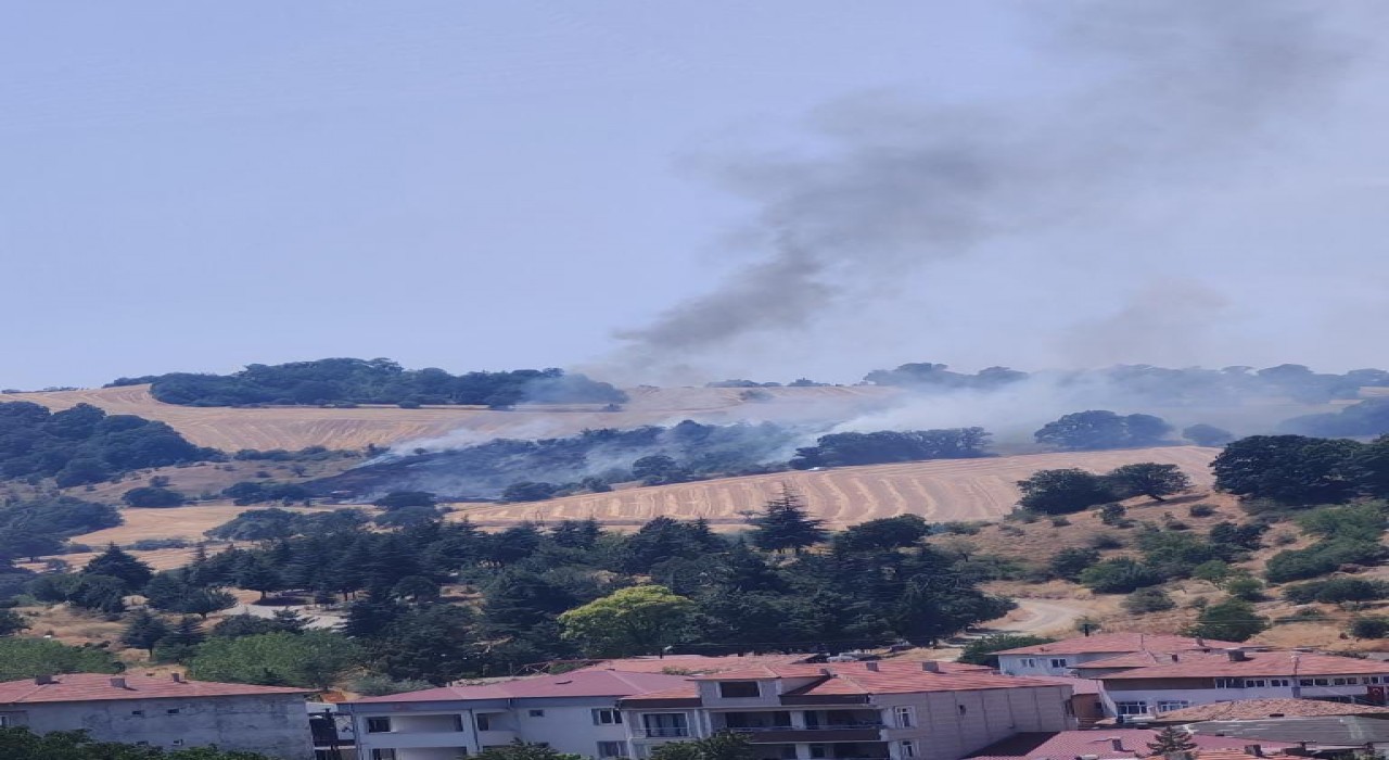 Havzada anız yangını ormana sıçradı