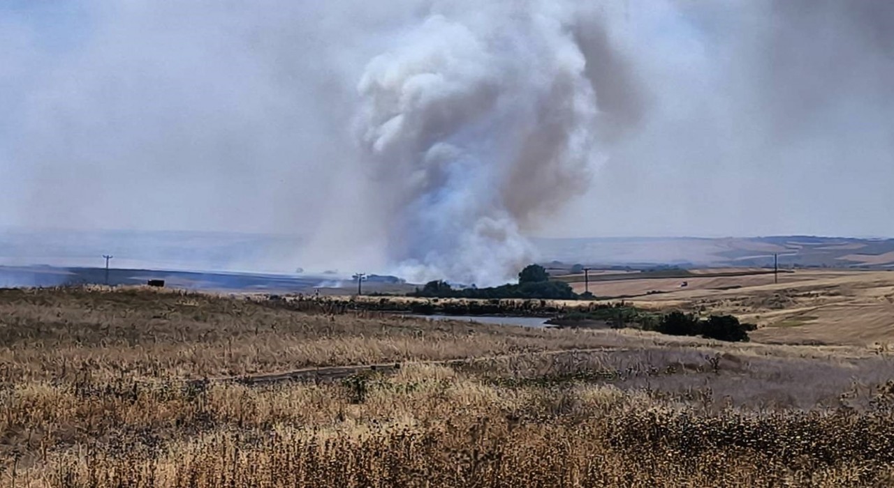 Hayraboluda çıkan anız yangını söndürüldü