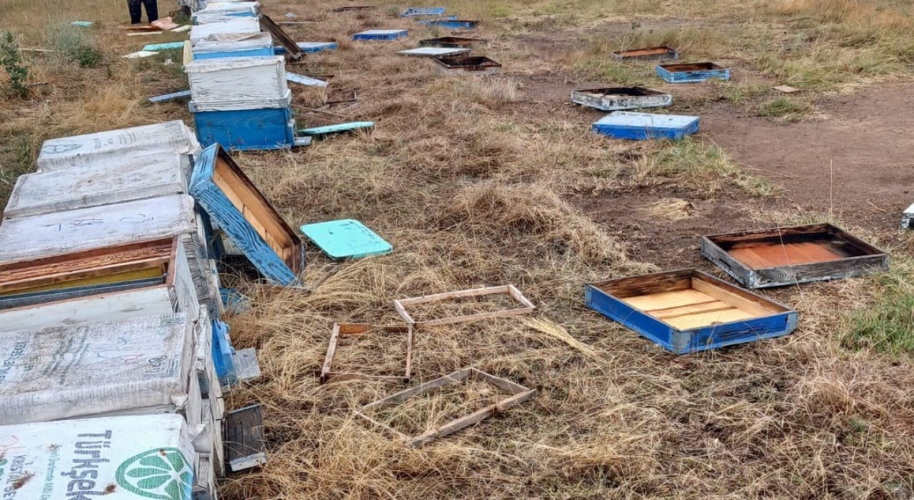 Hayraboluda hortum, arı kovanlarına zarar verdi: 163 kovan devrildi