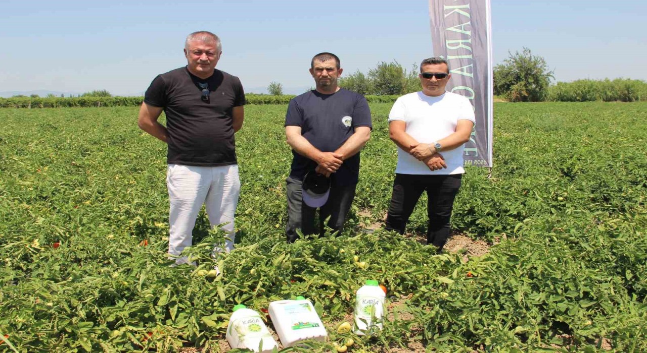 Hem hastalıklardan kurtuldular hem verimi artırdılar