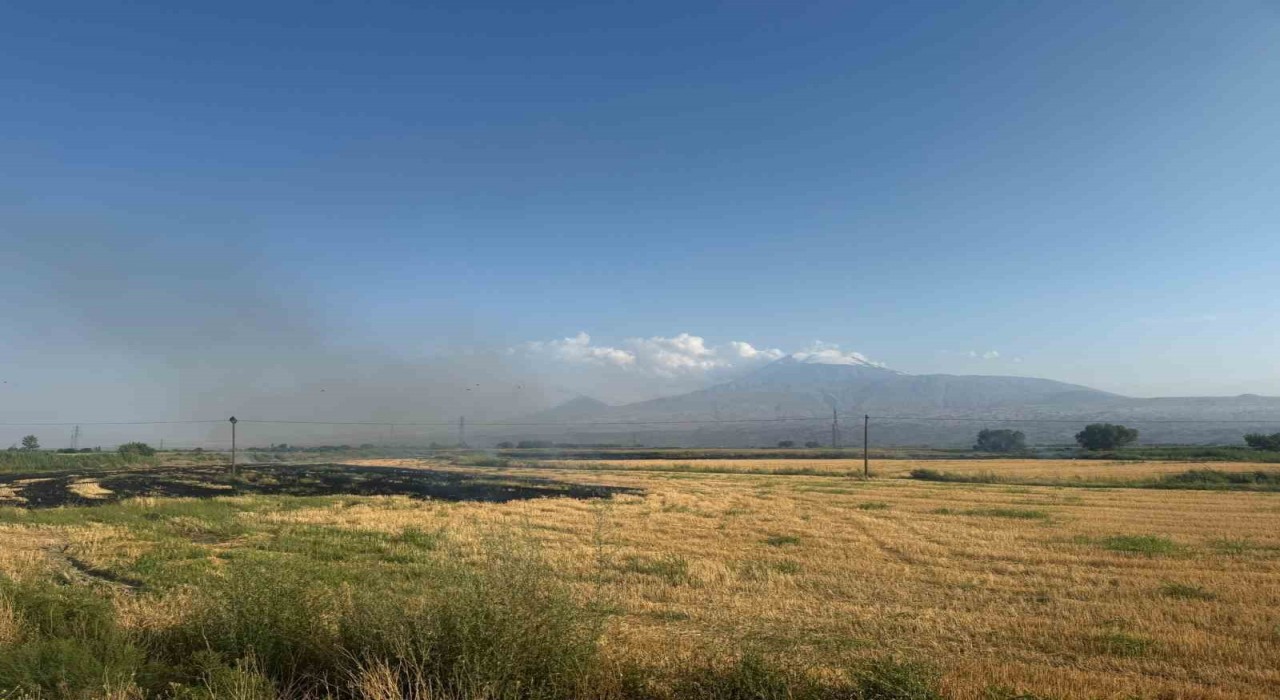 Iğdırda çıkan anız yangını gün boyu sürdü