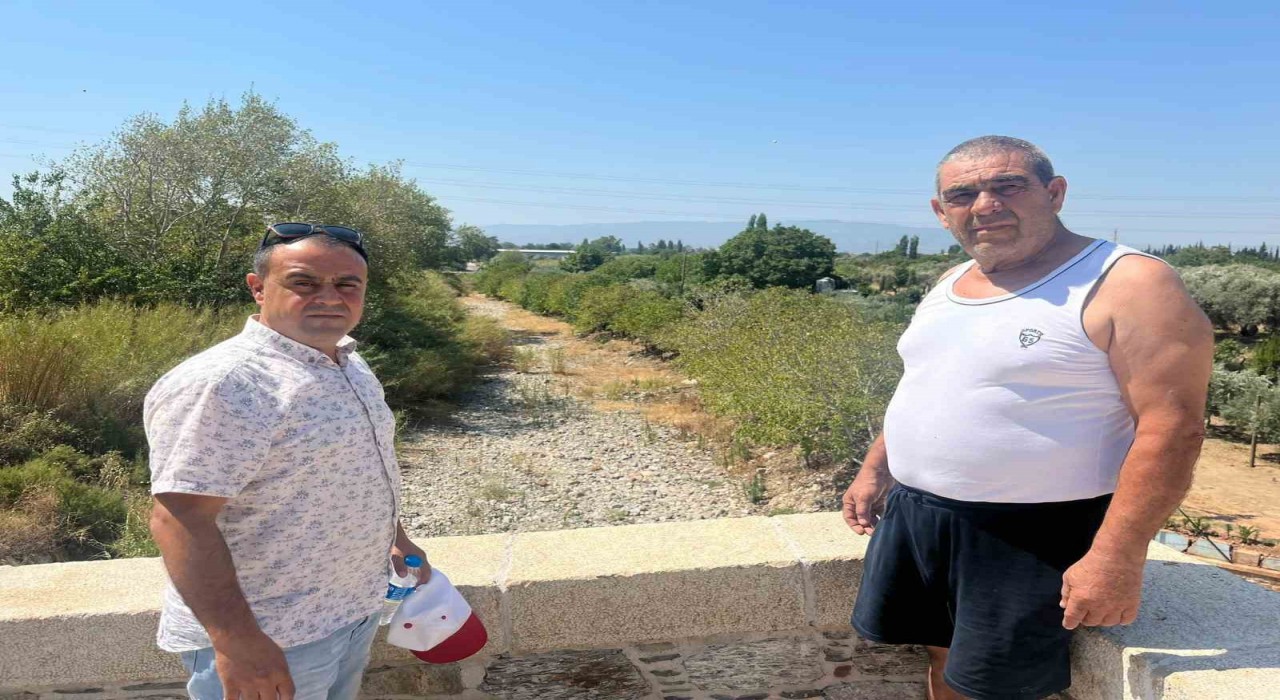 İkizdere Barajından su bırakılmadı, ağaçlar kurudu