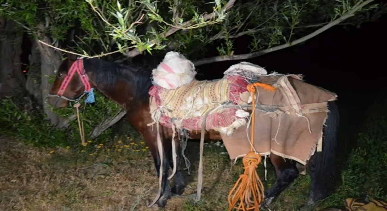 İrandan katırla yurda sokulan 97 kilogram uyuşturucuya 1 gözaltı