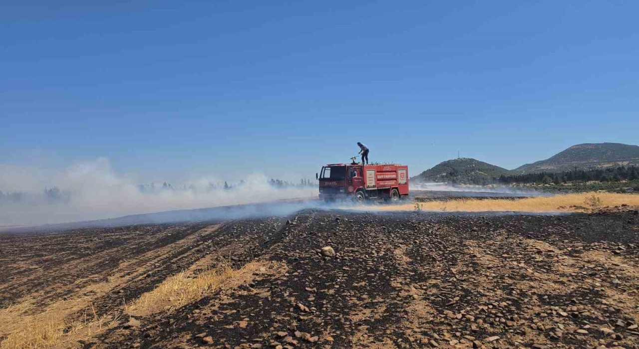 İslahiyede 150 dönüm arazi kül oldu