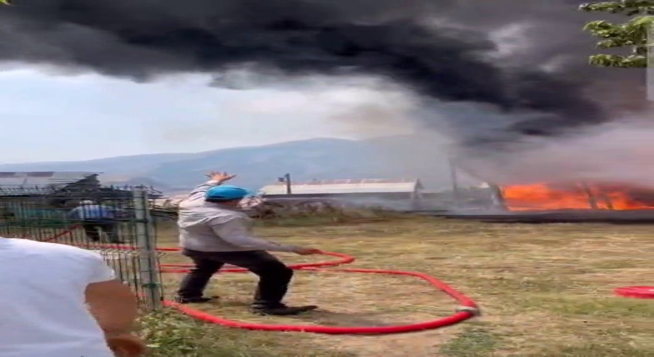 İspirde ormanlık alanda yangın