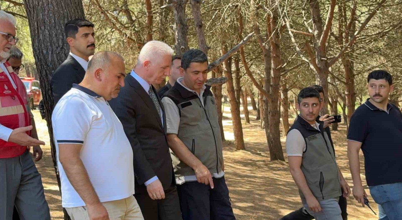 İstanbul Valisi Davut Gül, Sultangazi Kent Ormanında incelemelerde bulundu: Yangın kontrol altına alındı