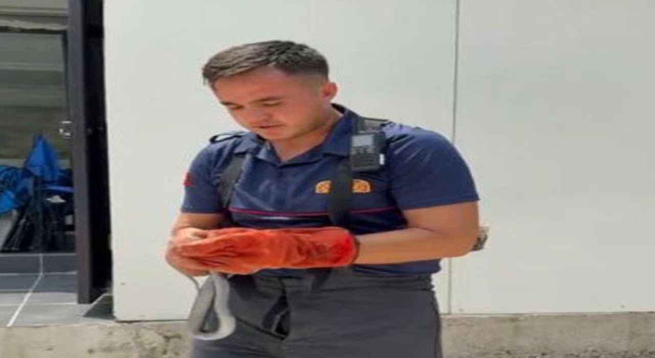 İtfaiye Görevlisi Yakaladığı Yılana Su İçirdi