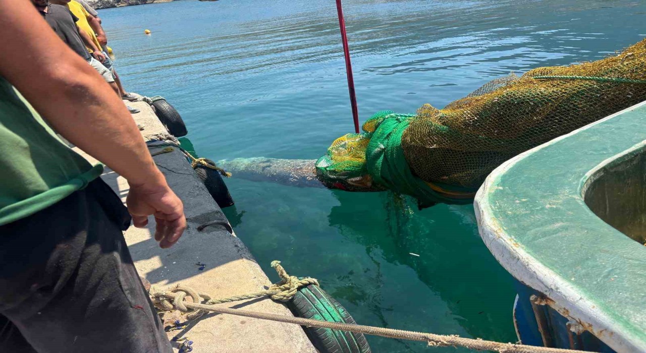 İzmir Karaburunda balıkçı ağına denizaltı torpidosu takıldı