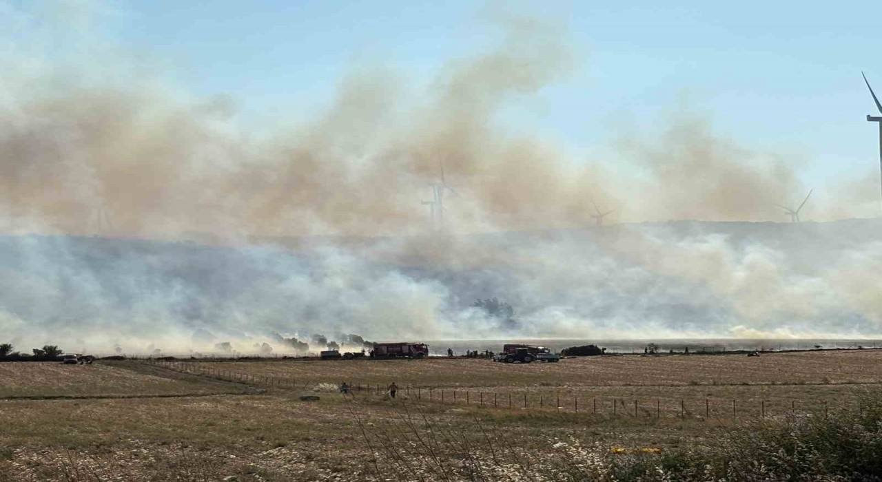 İzmirde makilik alanda çıkan yangına müdahale devam ediyor