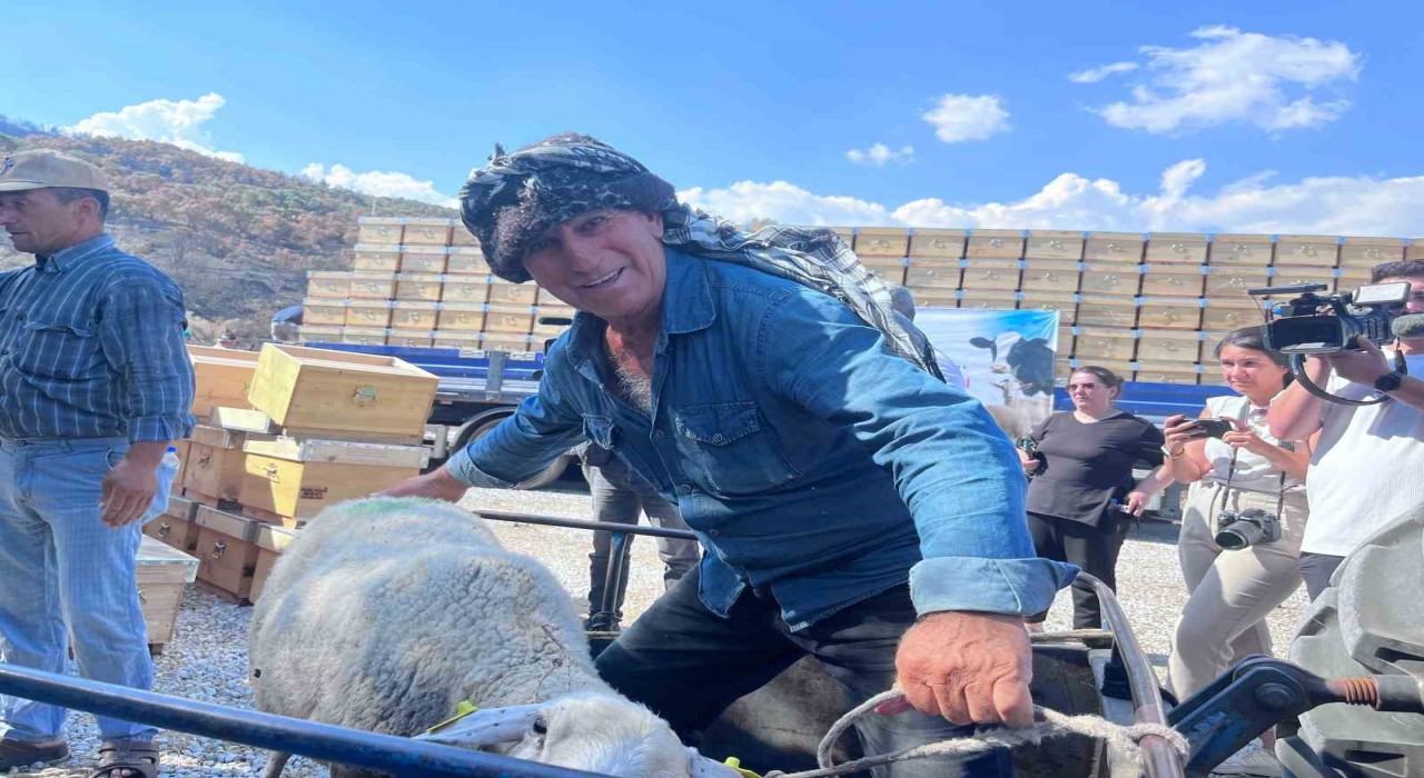 İzmirde orman yangınlarından etkilenen vatandaşların yaraları sarılıyor