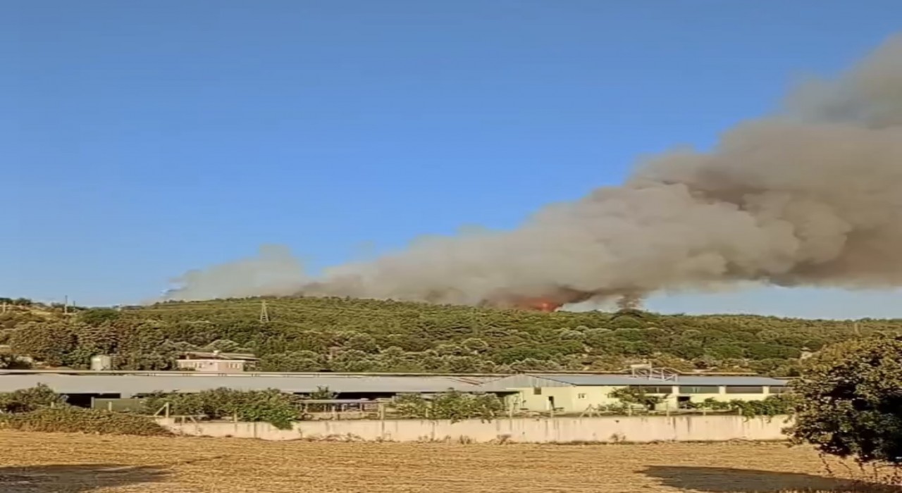 İzmirde ormanlık alanda yangın