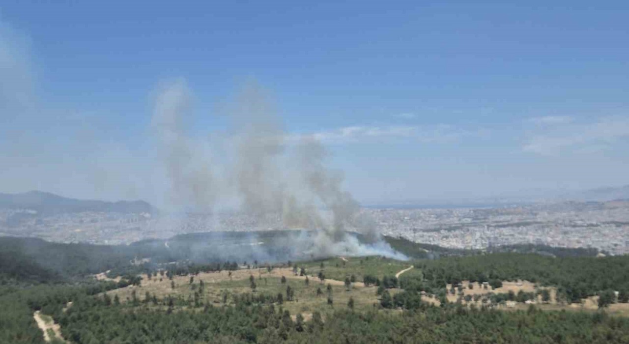 İzmirde yeni orman yangını: Bucaya havadan ve karadan müdahale