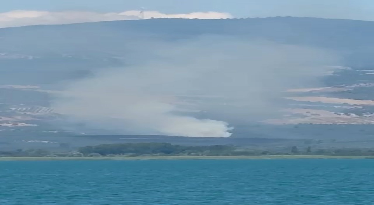 İznikte orman yangını