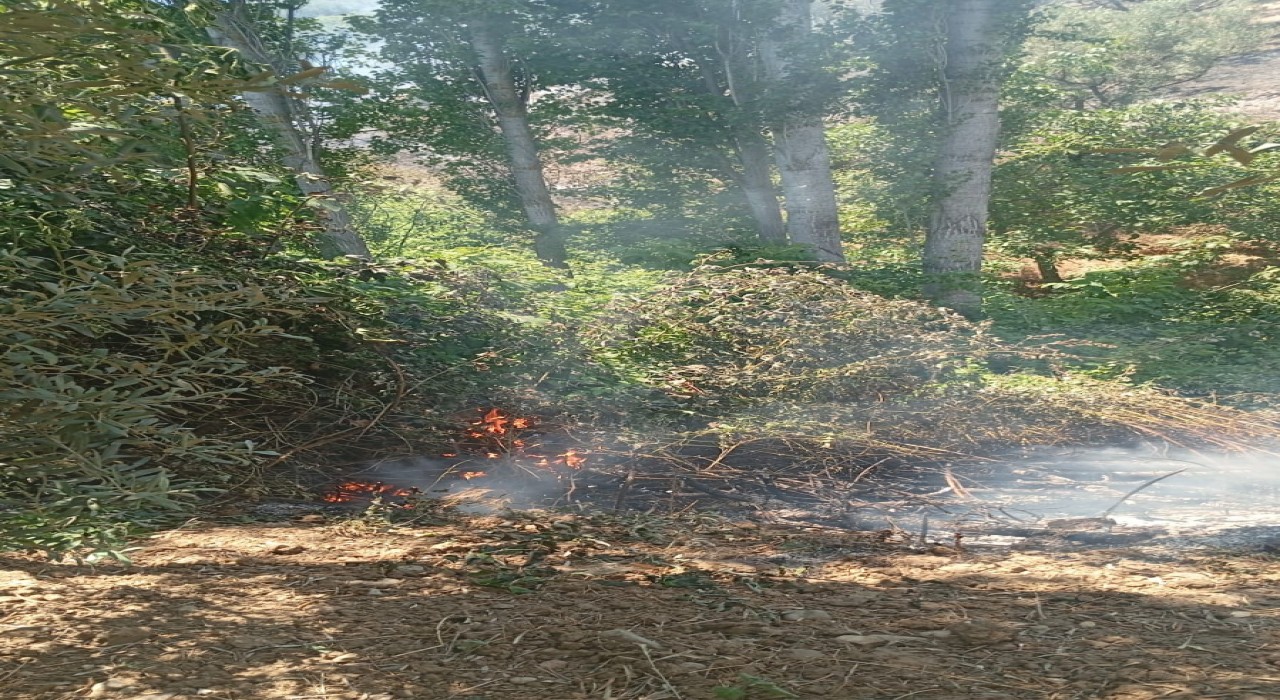 İznikte orman yangını büyümeden söndürüldü