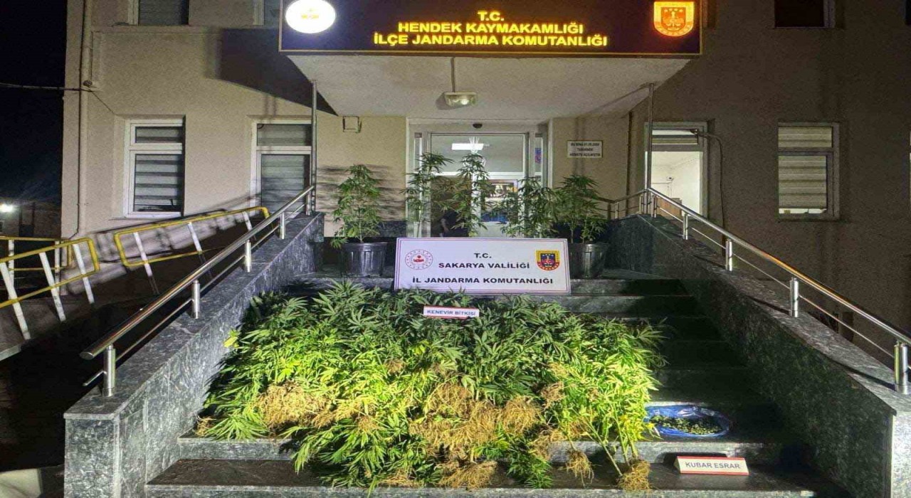 Jandarma uyuşturucuya geçit vermiyor: 1 tutuklama