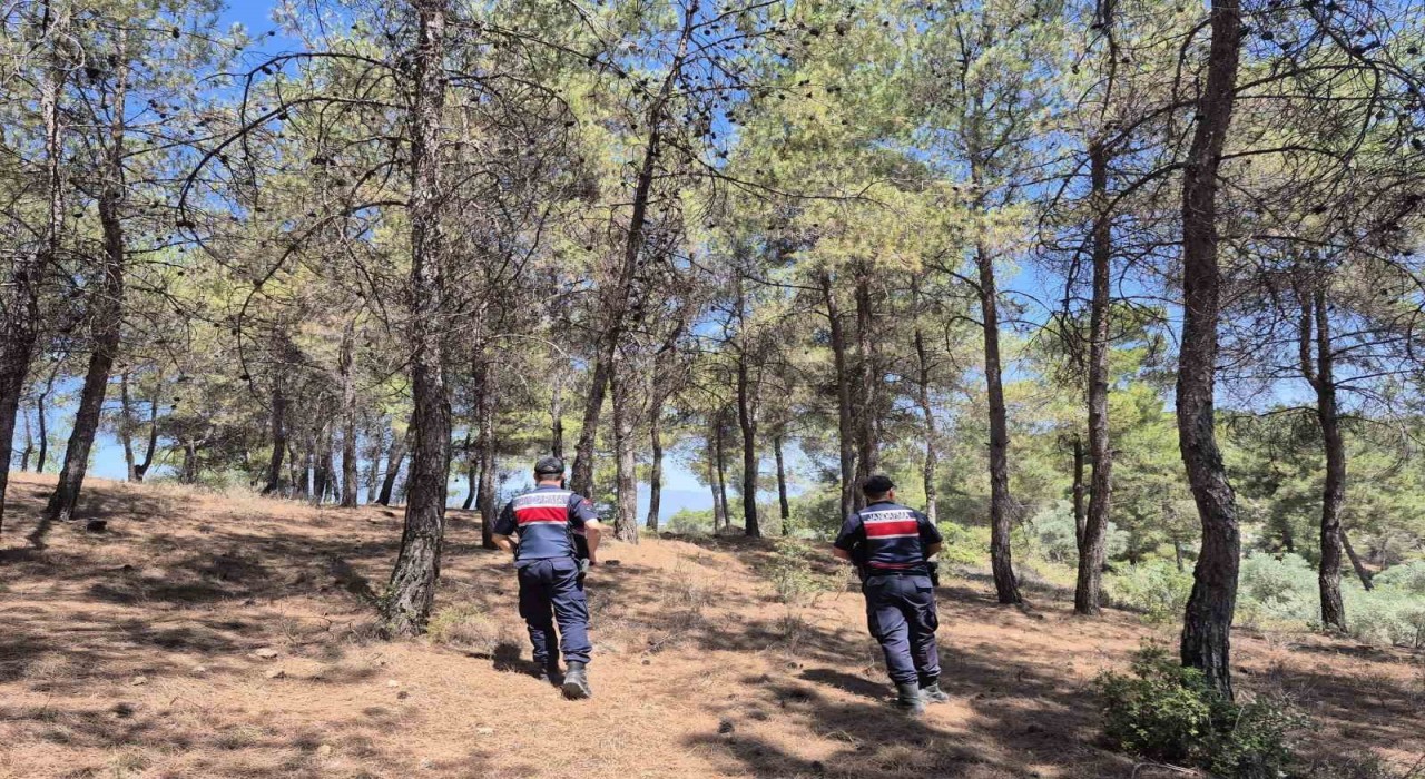 Jandarmanın ‘orman nöbeti aralıksız devam ediyor
