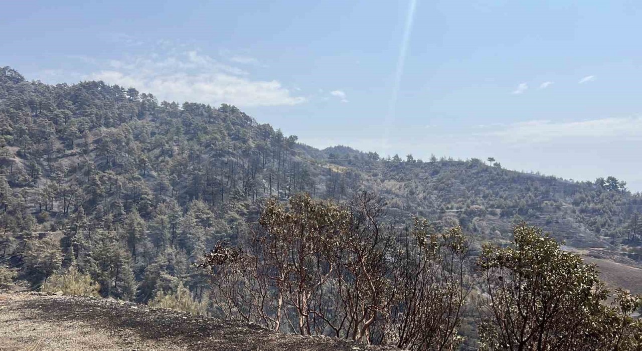 Kahramanmaraşta bin 500 hektar alanı etkileyen orman yangını kontrol altına alındı