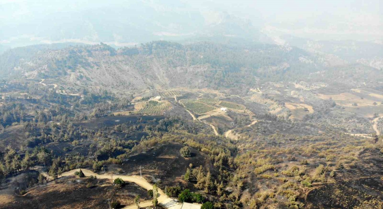 Kahramanmaraşta orman yangınına müdahale 3üncü gününde de sürüyor