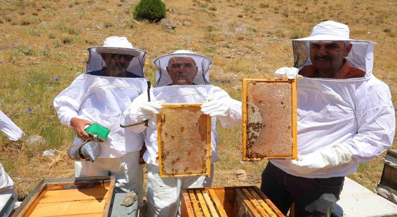 Kahramanmaraştaki Engizek Yaylasında bal mesaisi