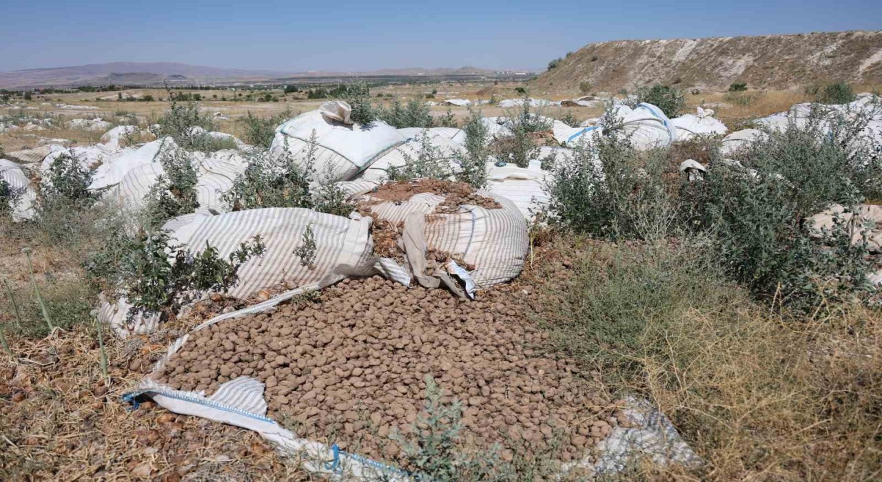 Kapadokyada valiliğin uyarısını dinleyen olmadı