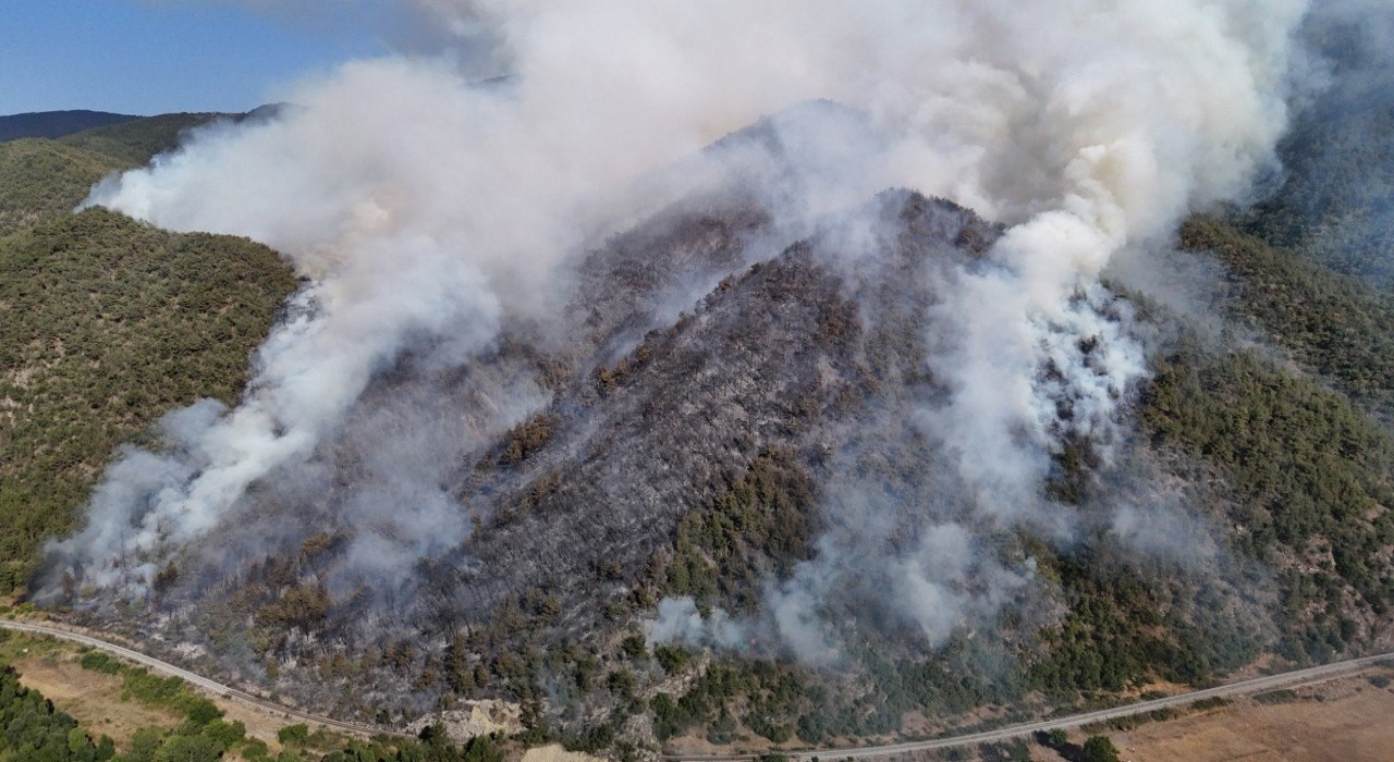Karabükte orman yangını