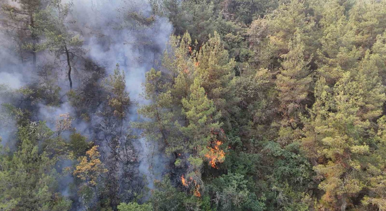 Karabükte orman yangını 69 saattir sürüyor