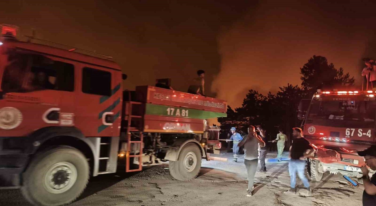 Karabükte orman yangını büyüyor, iki mahalle tahliye edildi