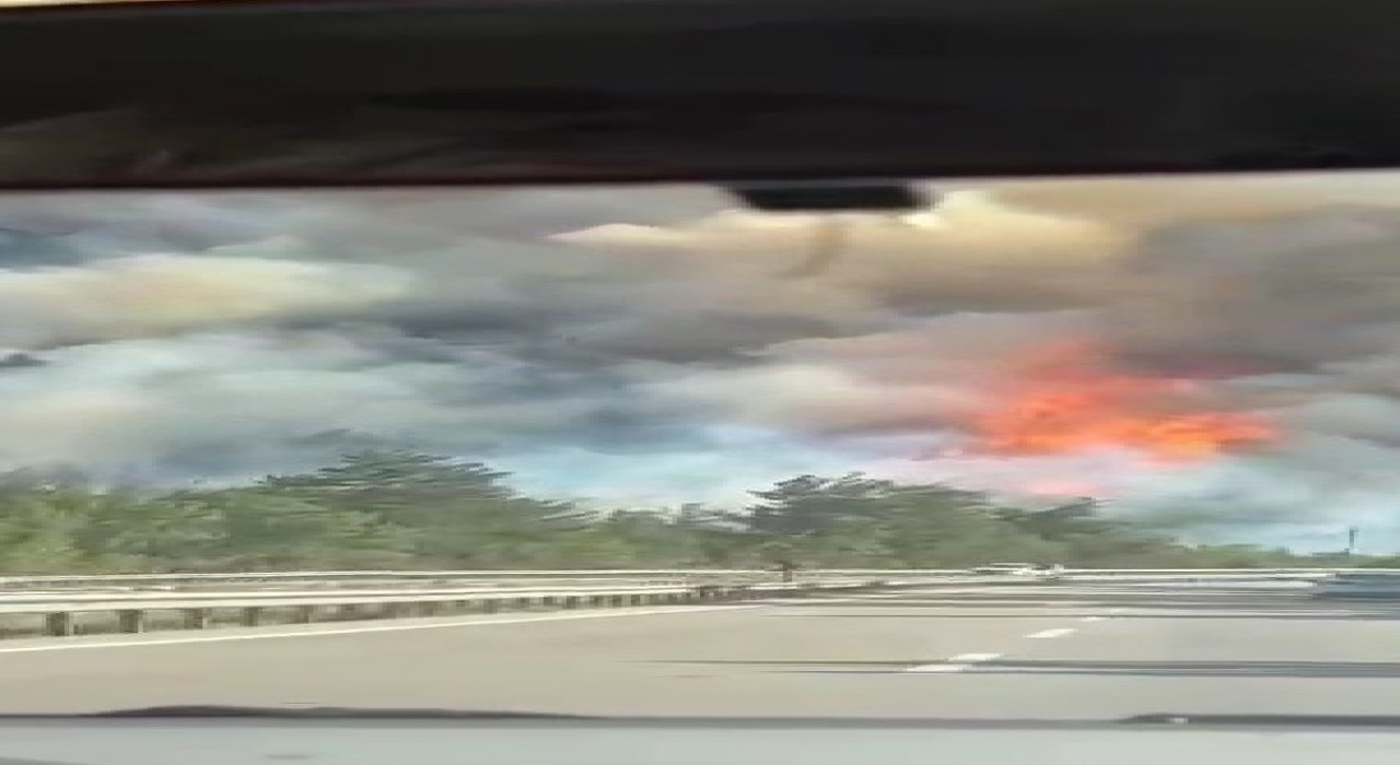 Karabükte orman yangını çıktı