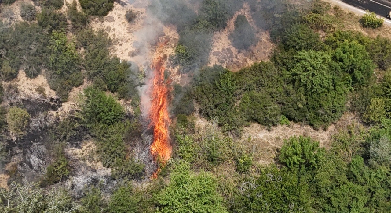 Karabükte orman yangını kontrol altına alındı