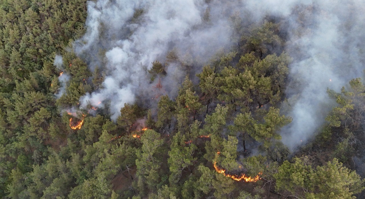 Karabükte orman yangınına müdahale 6 saattir aralıksız sürüyor