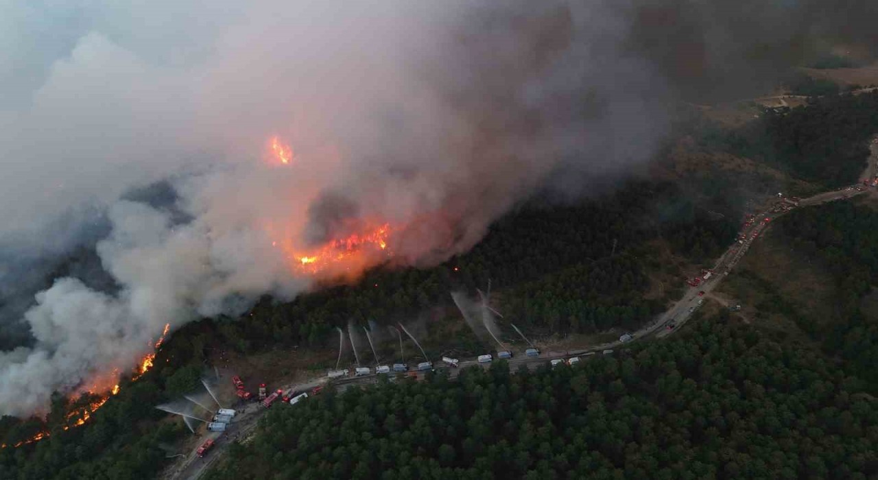 Karabükte yeni orman yangını