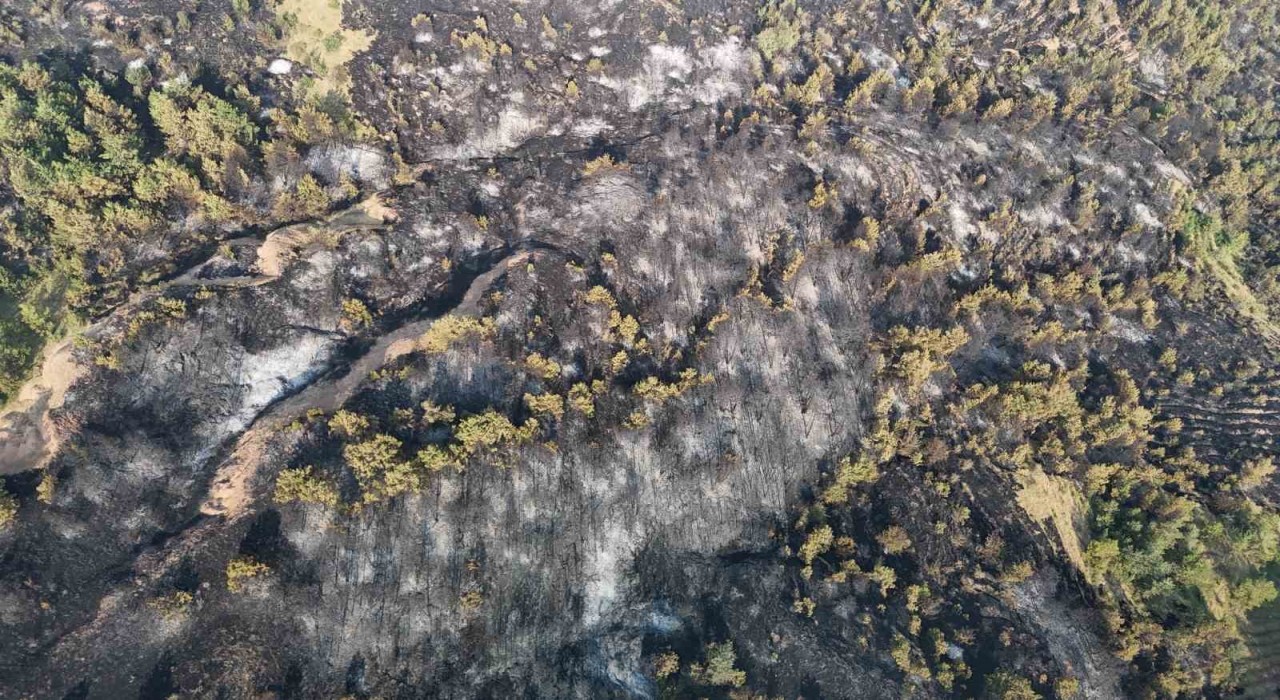 Karabükteki orman yangını 12 saatte kontrol altina alındı