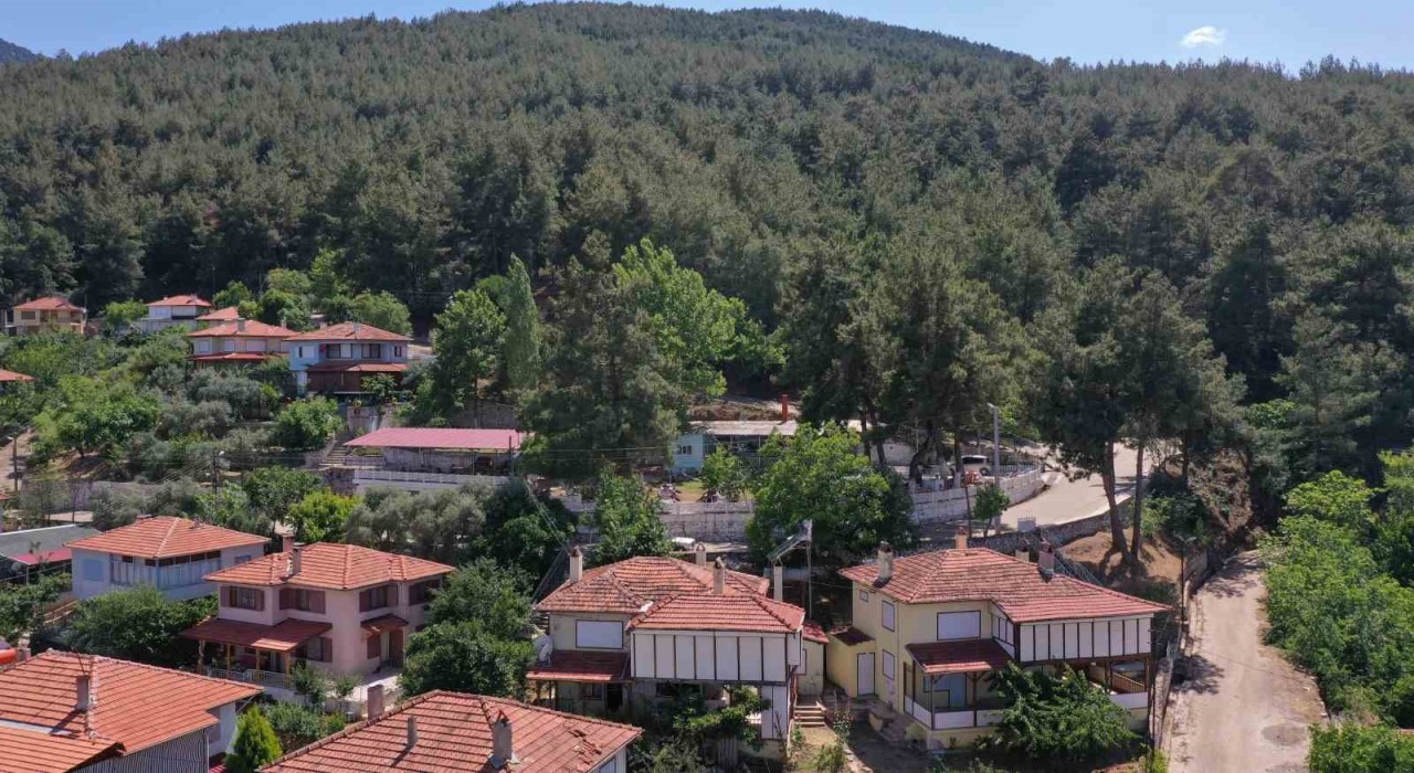 Karacasu Belediyesinden yangın uyarısı: Bir kıvılcım, bir felakete sebep olabilir