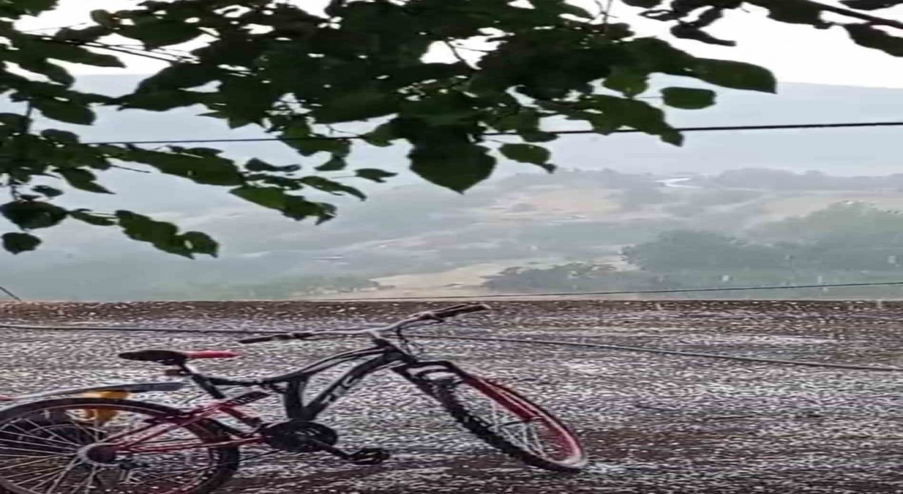 Karakoçanda dolu yağışı