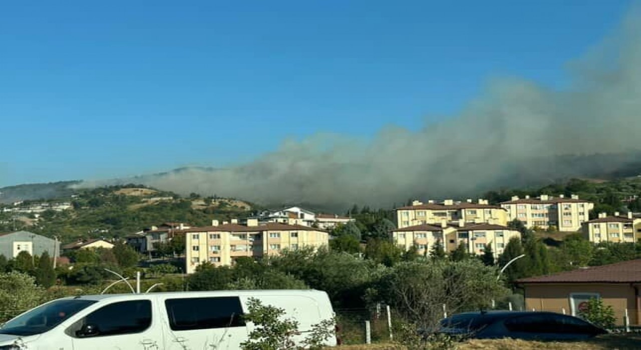 Karamürselde orman yangını başladı