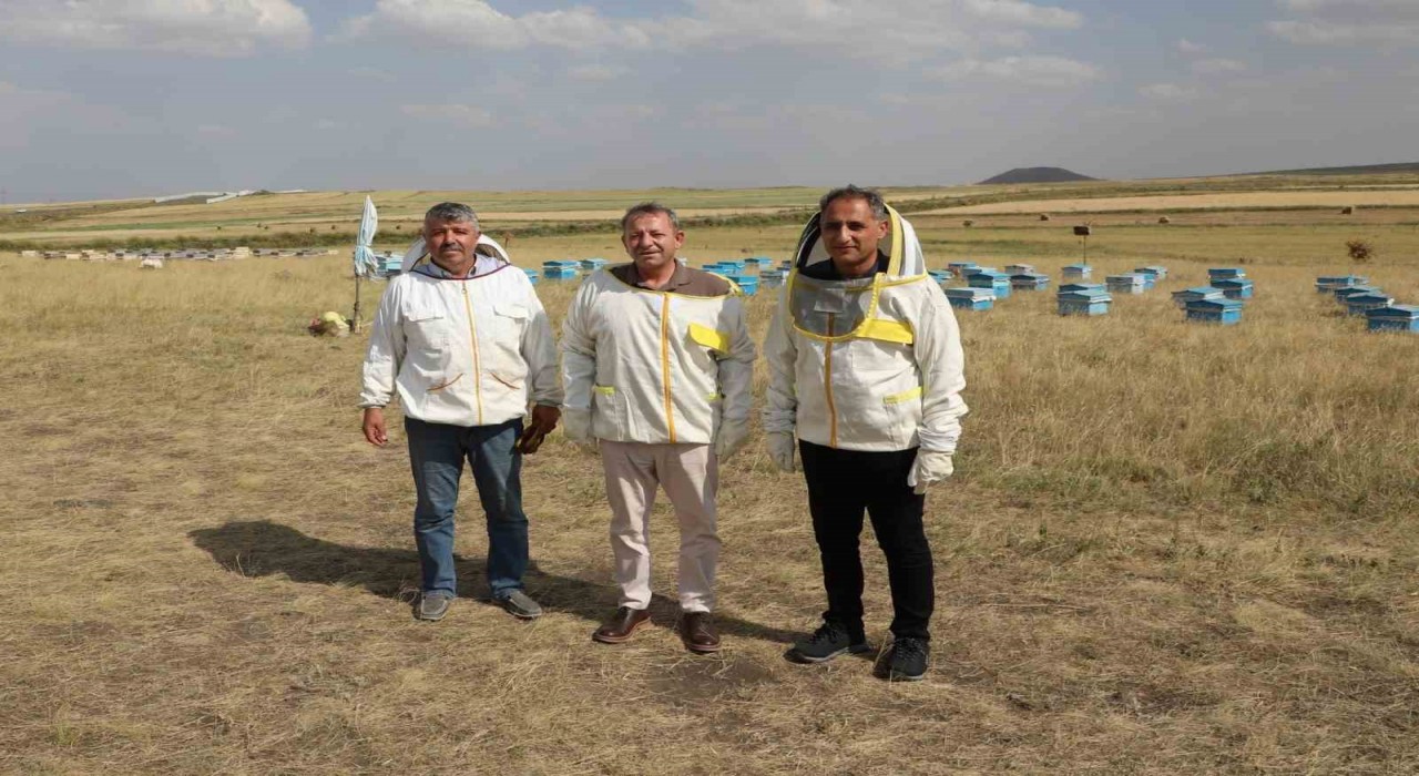 Karsta 2025 yılında bin 800 ton bal rekoltesi beklentisi