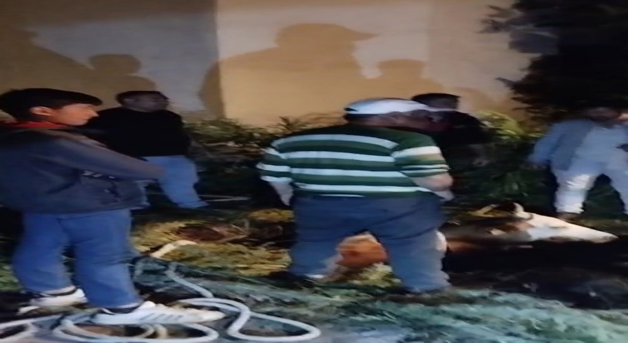 Karsta çukura düşen büyükbaş hayvan kurtarıldı