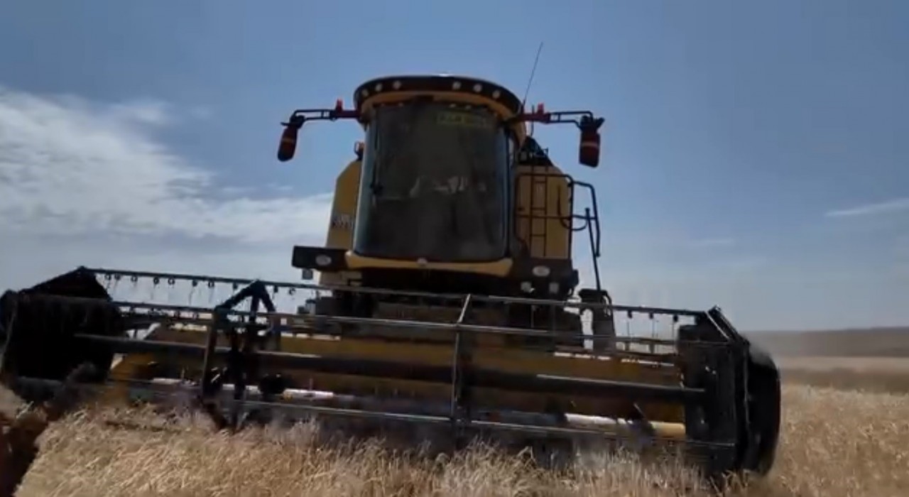 Karsta hasat mevsimi başladı