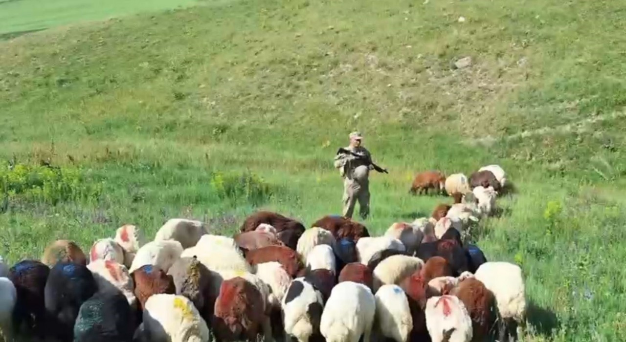Karsta kayıp küçükbaş hayvanlar bulundu