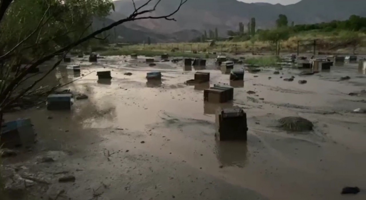 Karsta sel felaketi: Arı kovanları sular altında kaldı