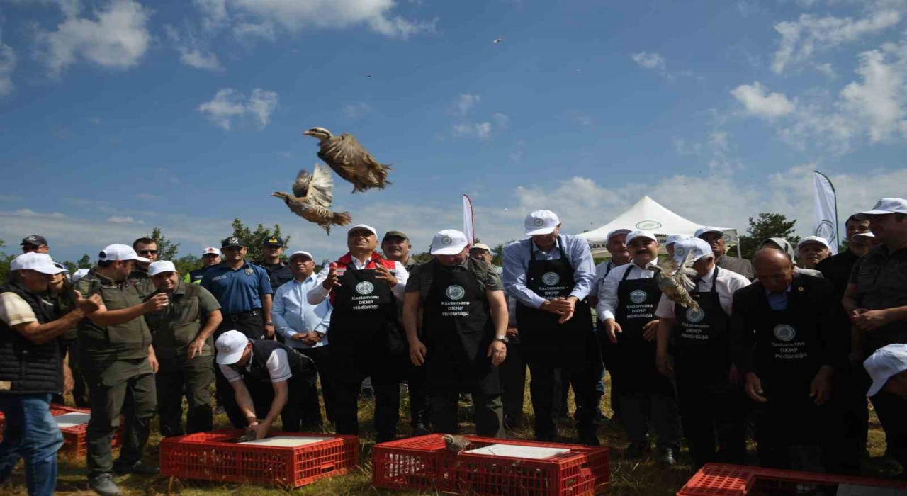 Kastamonuda doğaya 2 bin 100 kınalı keklik salındı