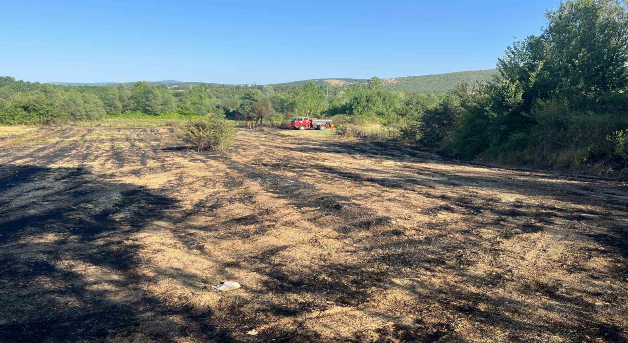 Kastamonuda elektrik tellerinin kopması sebebiyle ormanlık alanda çıkan yangın söndürüldü