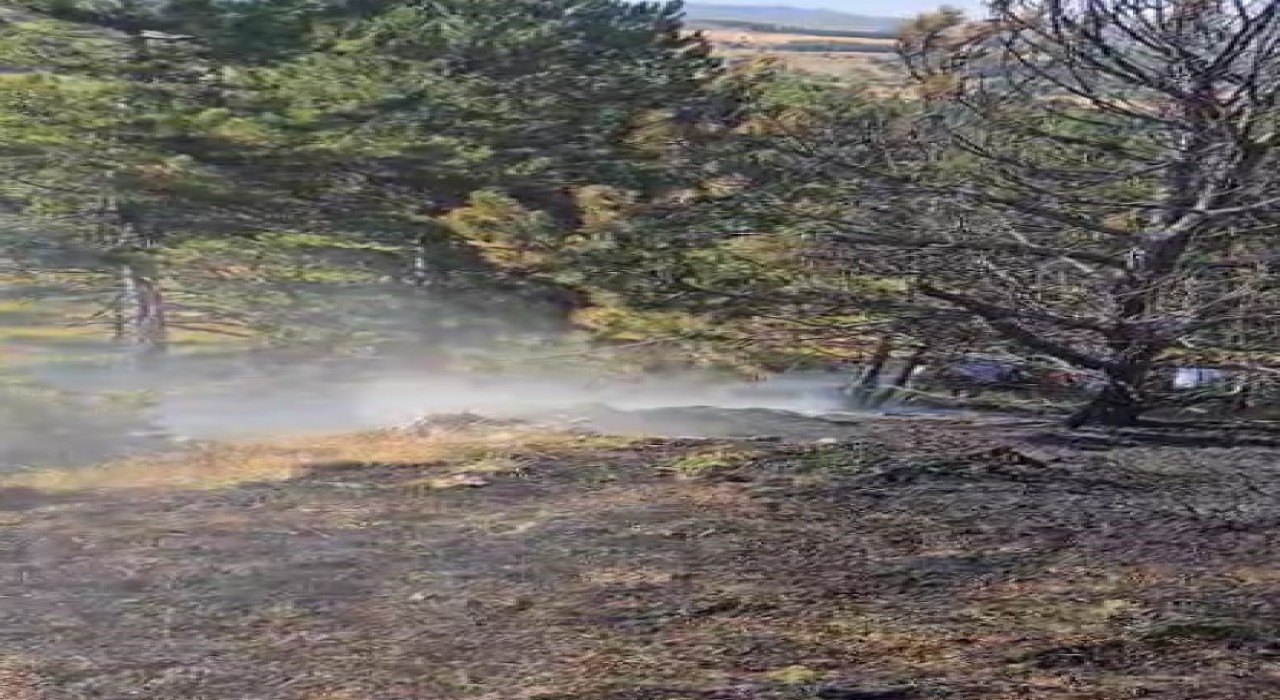 Kastamonuda ormanlık alanda çıkan yangın büyümeden söndürüldü