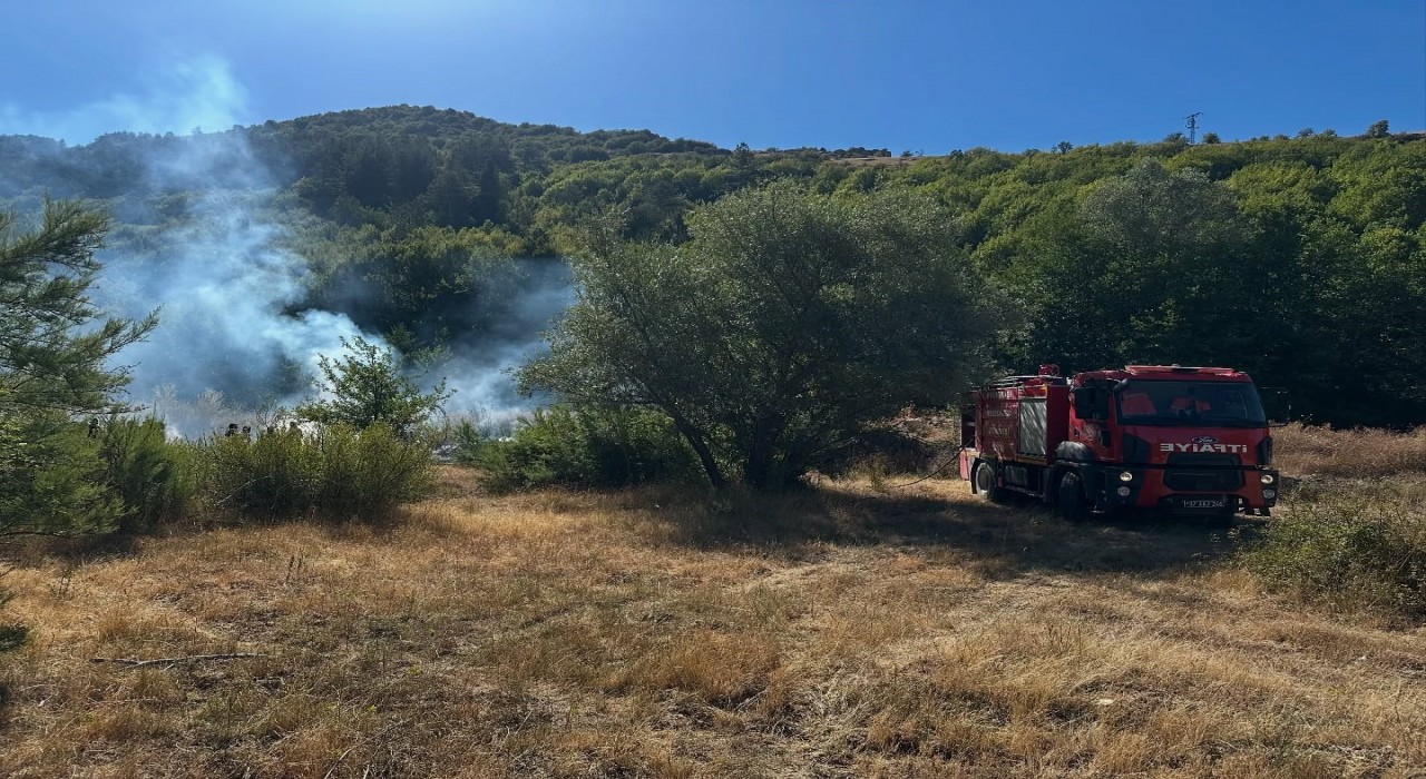 Kastamonuda ormanlık alanda çıkan yangın büyümeden söndürüldü
