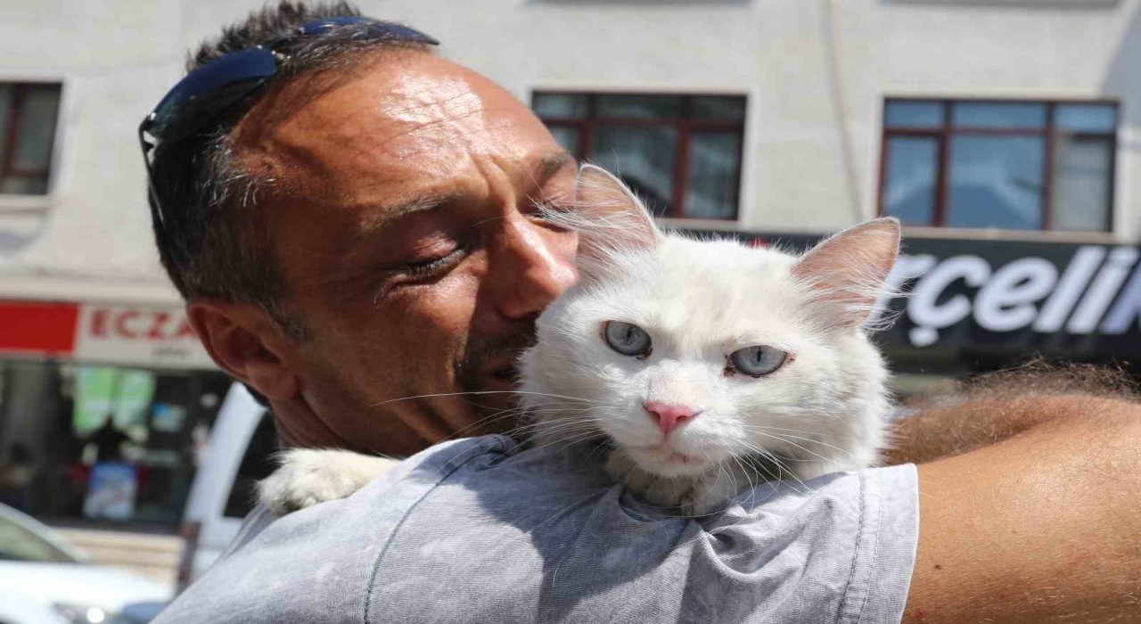 Kayıp kedisine günler sonra kavuştu, bu kez mutluluktan ağladı