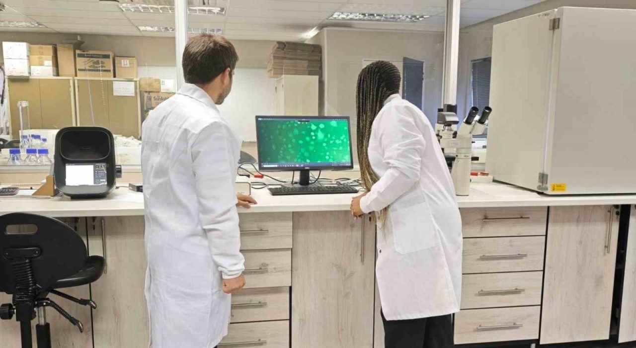 KBÜ Doktora Öğrencisi Güney Afrikada kanser araştırmalarına katıldı