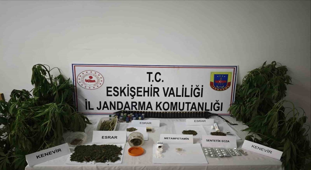 Kenevir bitkisi ekimi yapılan ikamete operasyon düzenledi