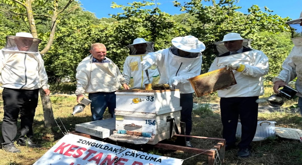 Kestane balı hasadı Çaycumada gerçekleştirildi